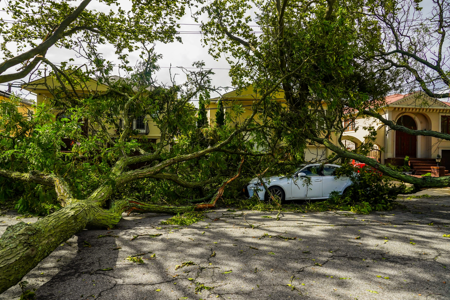 damage after hurricane